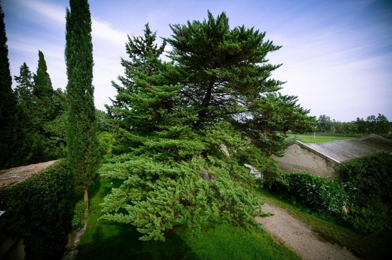 Masseria Perronello Country House Castellaneta Marina Zewnętrze zdjęcie